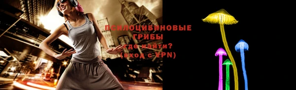 дживик Балахна