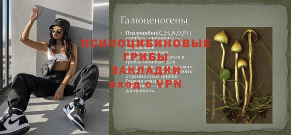 дживик Балахна