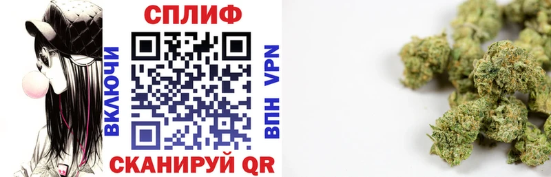 OMG вход  Ильский  МАРИХУАНА конопля 